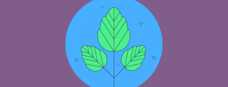 Poison ivy plant