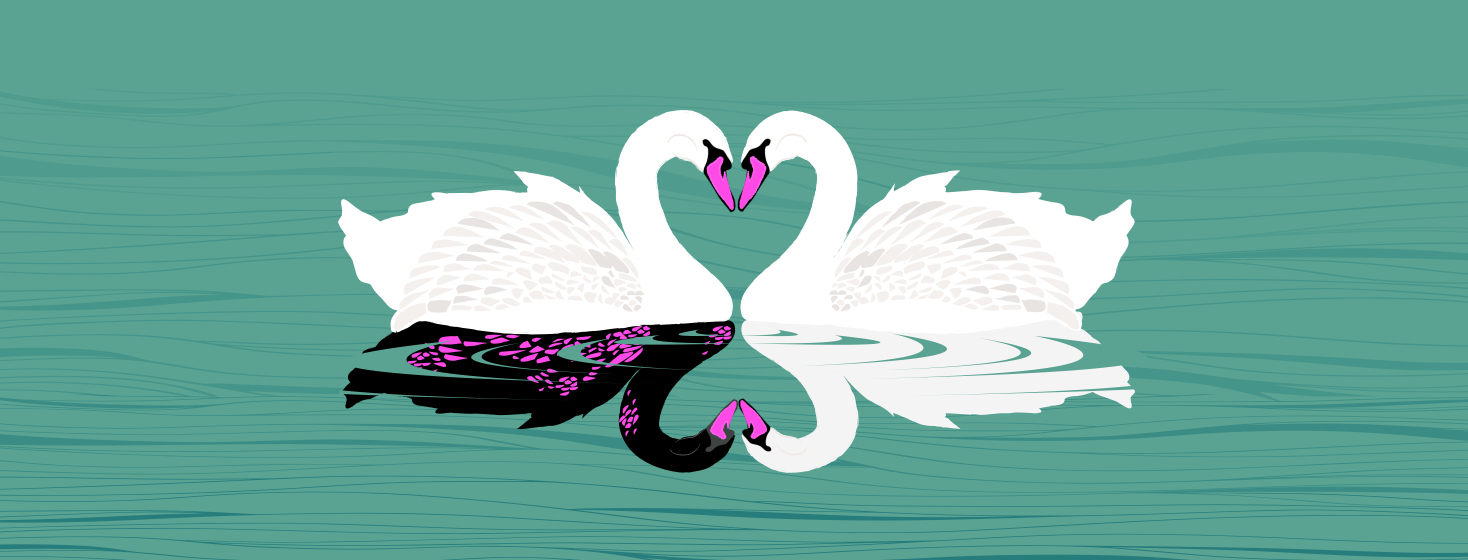 Image depicts two swans in a lake forming the iconic heart shape with their heads, while the reflection of the one swan is black with neon pink eczema spots.