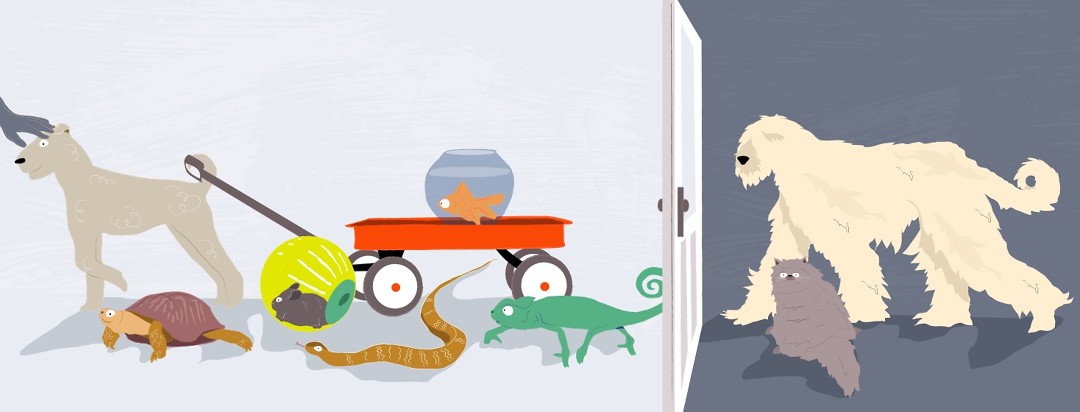 Very hairy pets pictured outside of a door, which extends inside of the home to feature eczema friendly pets including a lizard, snake, turtle, hamster, goldfish, and short haired dog