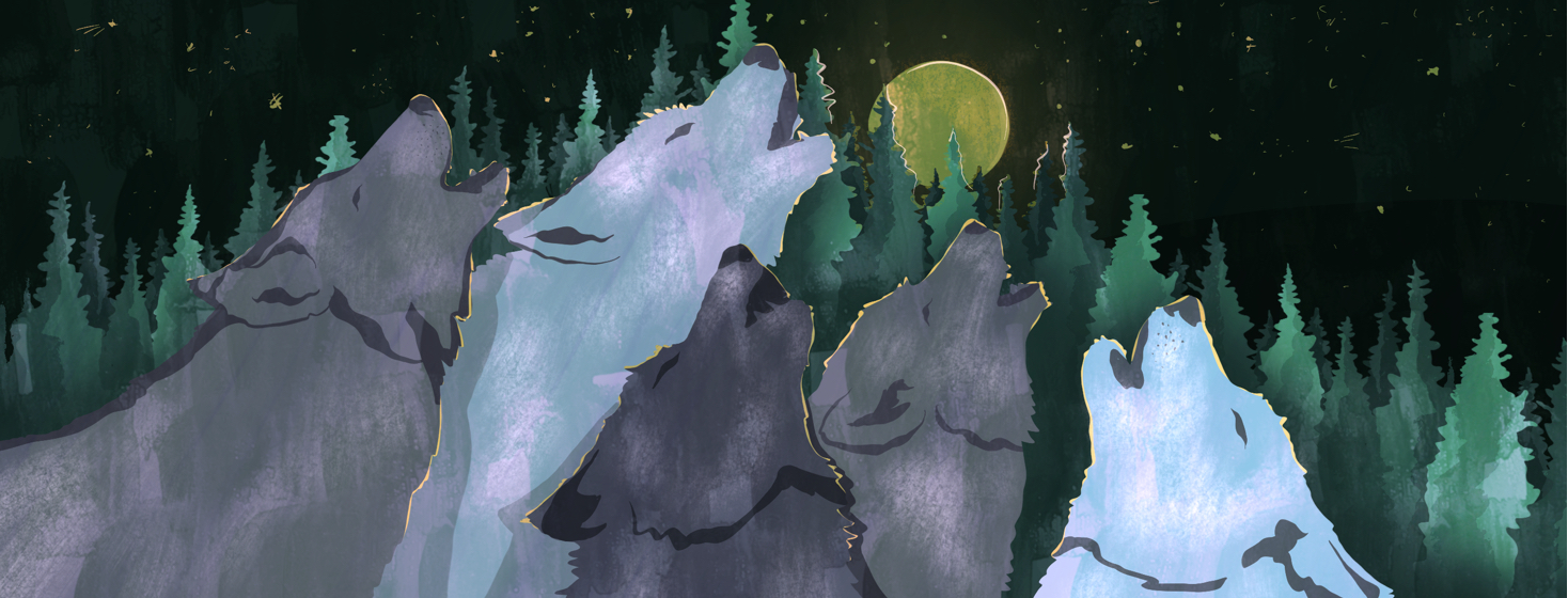 A pack of wolves howling at the moon.
