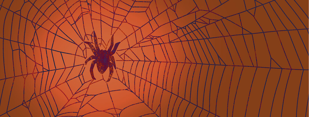 A spider sits in the middle of an expansive web.