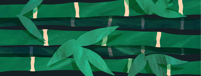 Eczema Bamboo Growth - 90 Layers Shed! image
