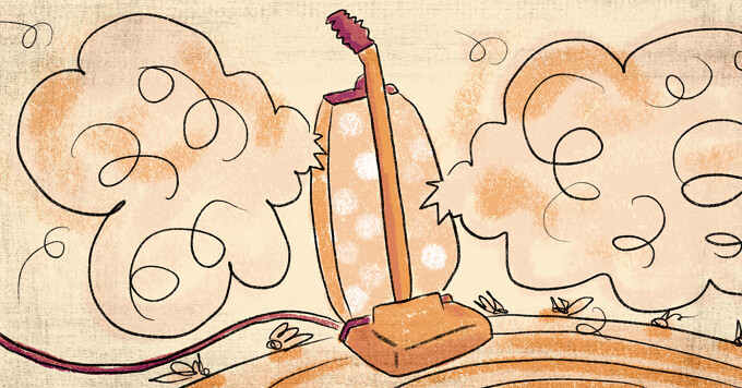 Dust Mites vs. Eczema: Is Your Vacuum Helping or Hurting You? image