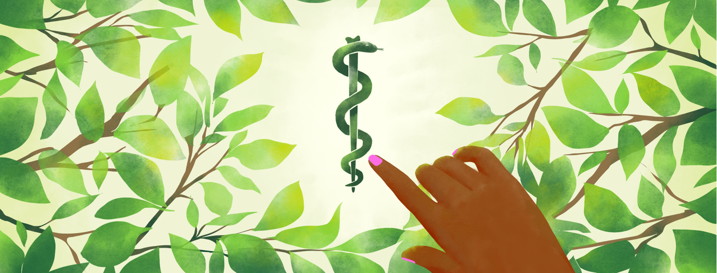 A hand pulls back leaves that surround a watercolor-painted Rod of Asclepius.