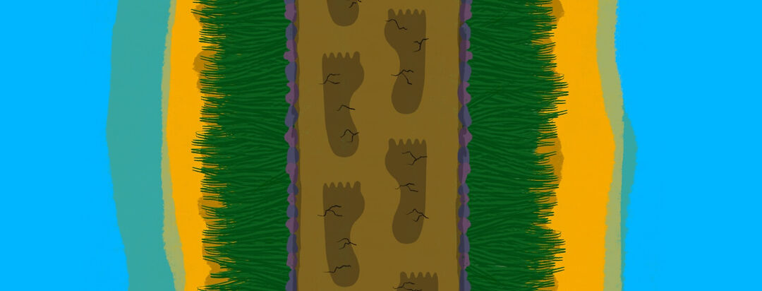 A set of foot prints along a dirt path surrounded by grass, sand, and water